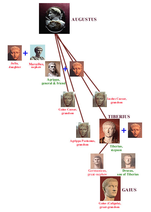 Augustan succession diagram