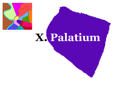 X. Palatium